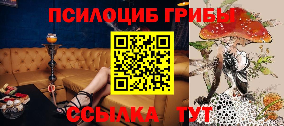 Псилоцибиновые грибы Psilocybe Омск