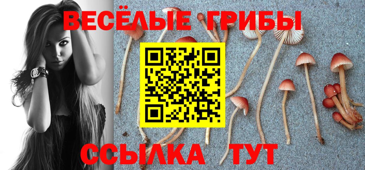 Галлюциногенные грибы MAGIC MUSHROOMS  Вход с VPN  Омск 